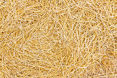 Background with dry straw
