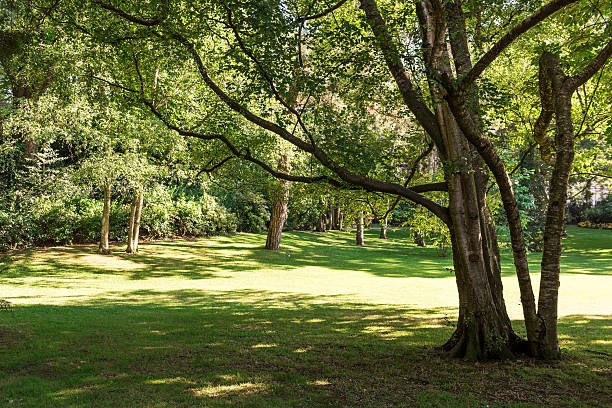 istock Tranquility in the Luxembourg Gardens, Paris 582309892