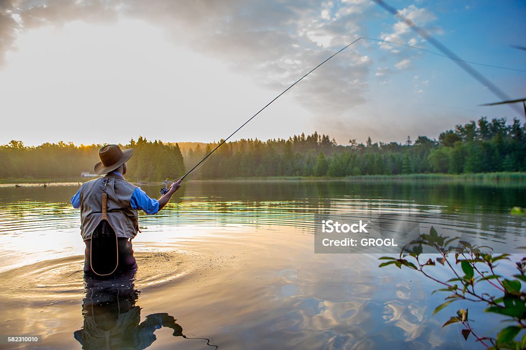 Joven que pesca con mosca al amanecer - Foto de stock de Pesca con mosca libre de derechos