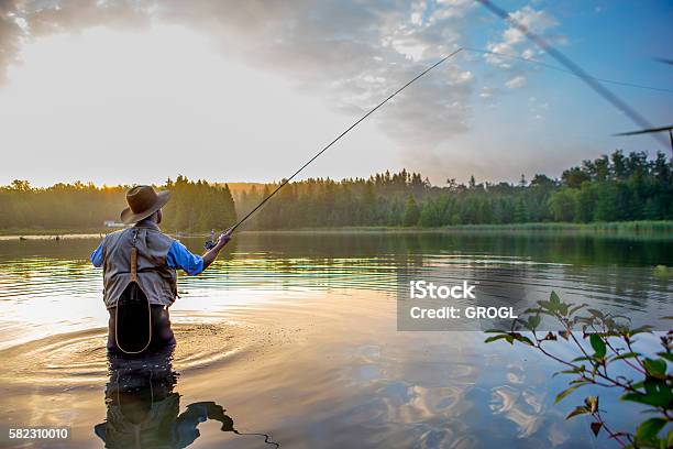 Young Man Flyfishing At Sunrise Stock Photo - Download Image Now - Fly-fishing, Canada, Men