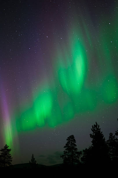 istock Aurora Borealis above northern taiga forest 582312248