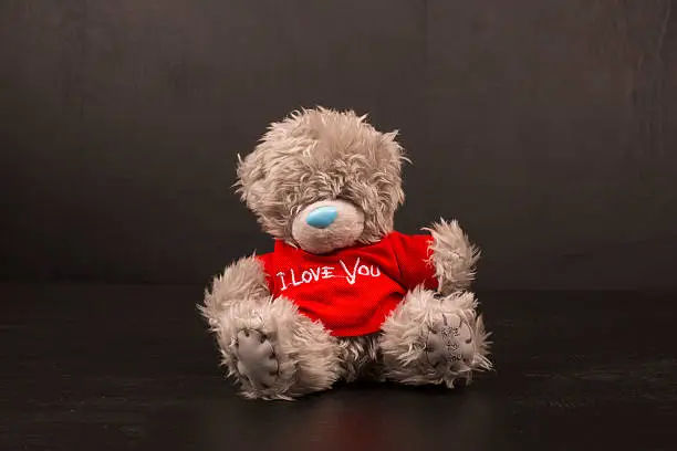 Photo of Big Bear soft toy isolated on black background