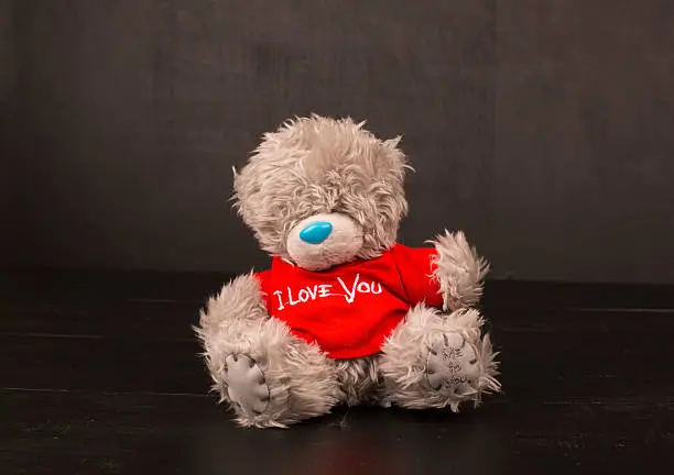 Photo of Big Bear soft toy isolated on black background