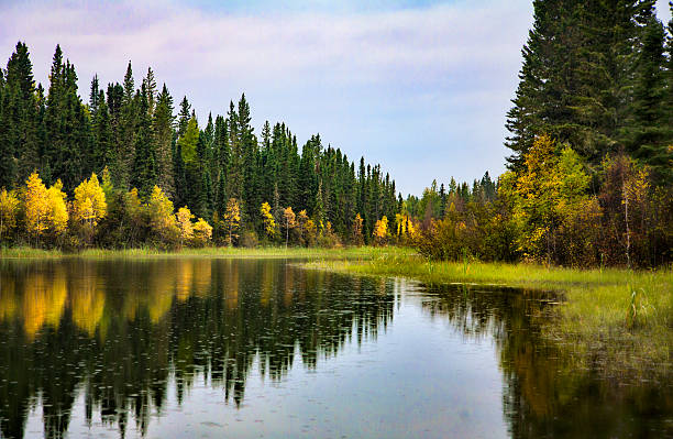 Northern River and Boreal Forest in Prince Albert National Park stock photo