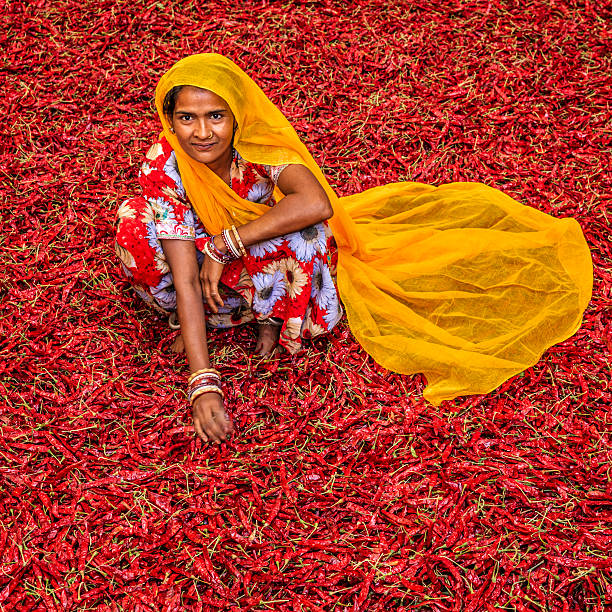 istock Young Indian woman sorting red chilli peppers, Jodhpur, India 582316050