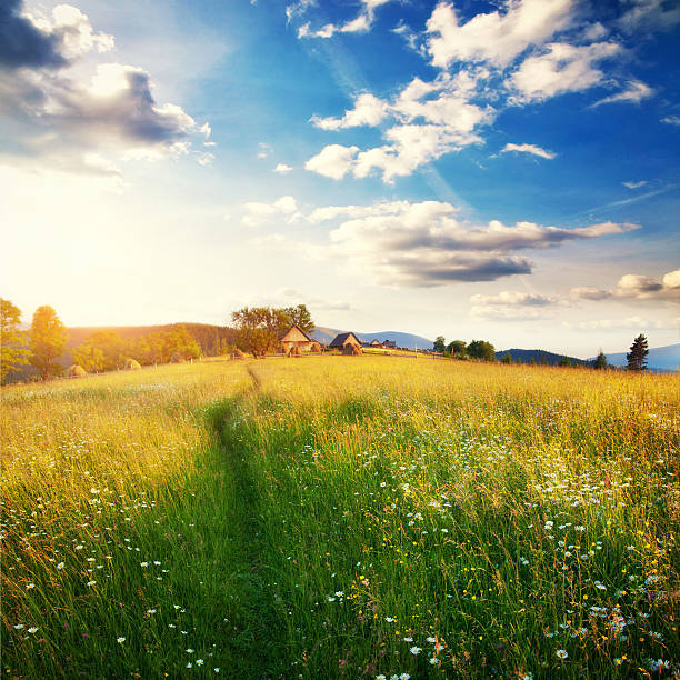 istock Fantastic sunny day is in mountain landscape. Carpathian, 582316728
