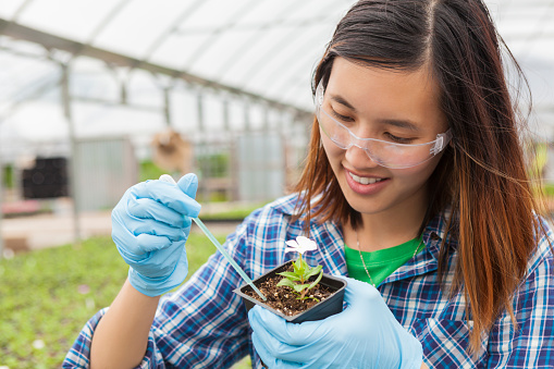 Happy asian college student working on botany. She is at a lab wearing saftey glasses, gloves, and a blue plaid shirt.