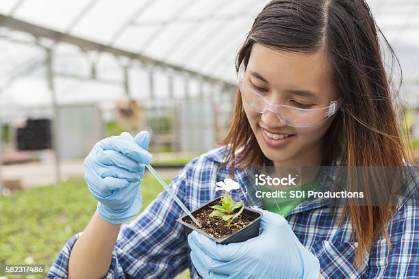 Asian College Student Working On Botany Stock Photo - Download Image Now - Agriculture, Environment, Science