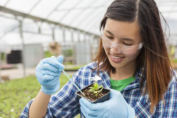 Photo of Asian college student working on botany