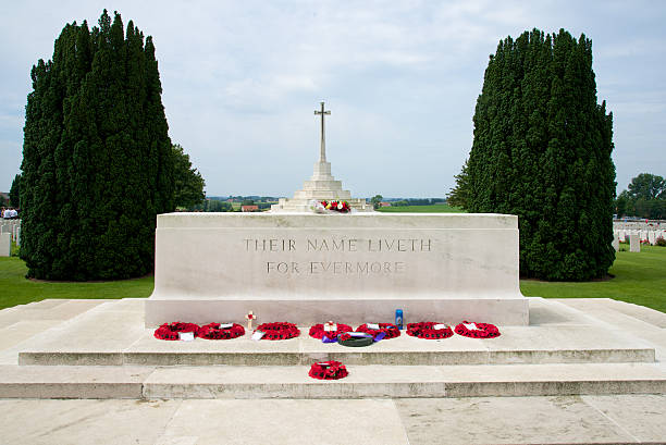 тайн кот содружества войны могилы кладбище, прокаженный, бельгия - flanders war grave war memorial стоковые фото и изображения