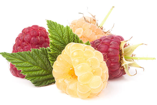 istock red and yellow raspberries with leaves on a white background 582320146