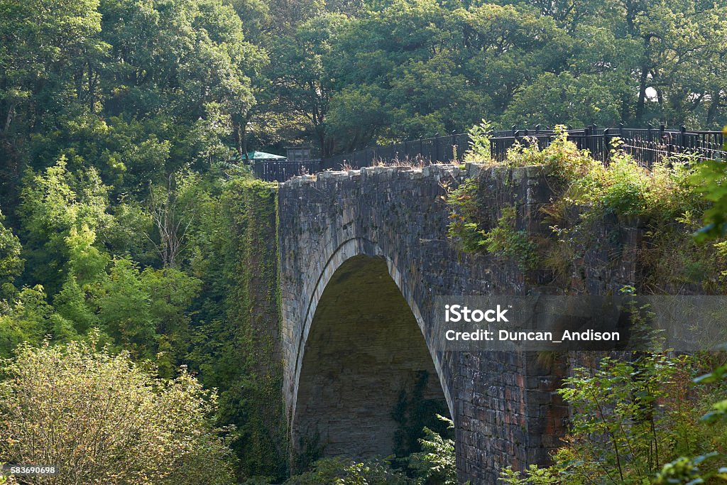 Cause Arch, the worlds oldest surviving rail bridge. Cause Arch, the worlds oldest surviving rail bridge. North East England, UK. Arch - Architectural Feature Stock Photo