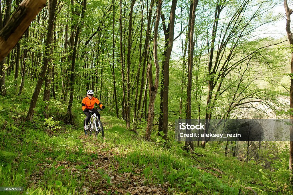 Biker on the forest road Biker in orange jersey on the forest road Activity Stock Photo