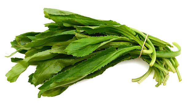 istock Long coriander leaves isolated on white 583693538