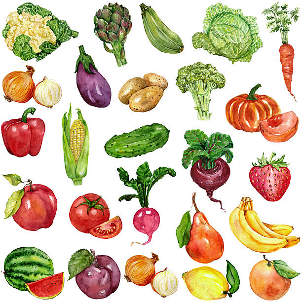 ilustrações, clipart, desenhos animados e ícones de conjunto de aquarela com frutas e legumes - onion vegetable food freshness