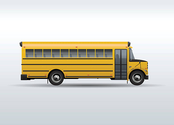 Vector school bus isolated on white background vector art illustration