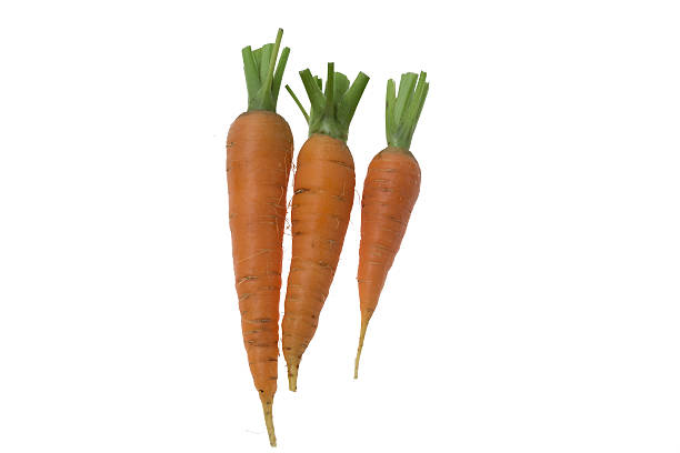 istock Three fresh raw carrots on the white background 583699212