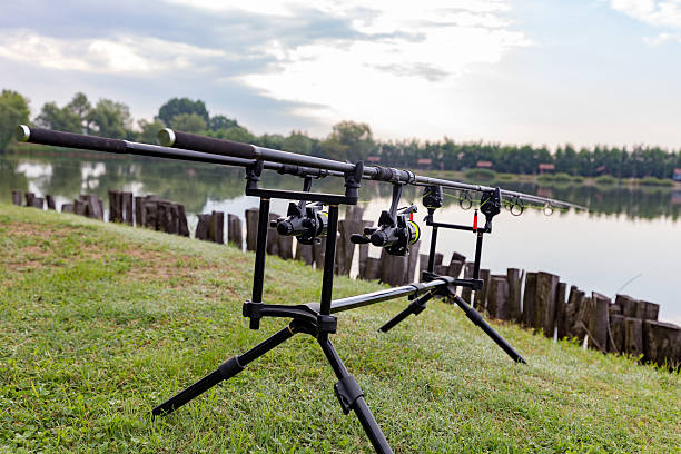 istock Carp fishing rods 583700242