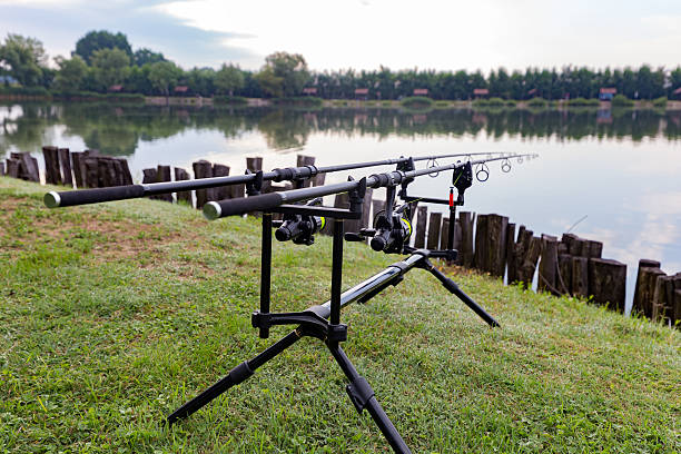 istock Carp fishing rods 583700276