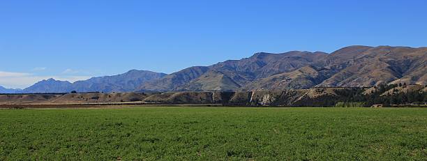 istock Irrigated green meadow and dry mountains 583700762