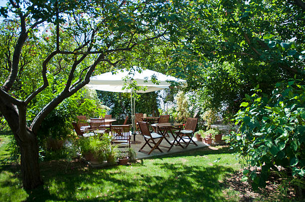 istock Green Garden View in Bodrum 583703672