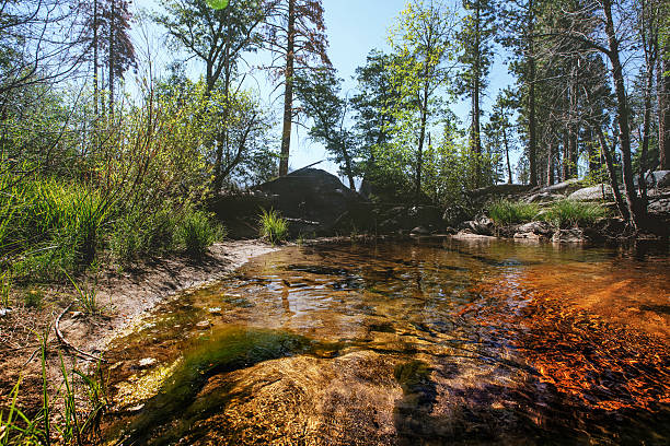istock Waterfalls pool up in the mountains 583704906