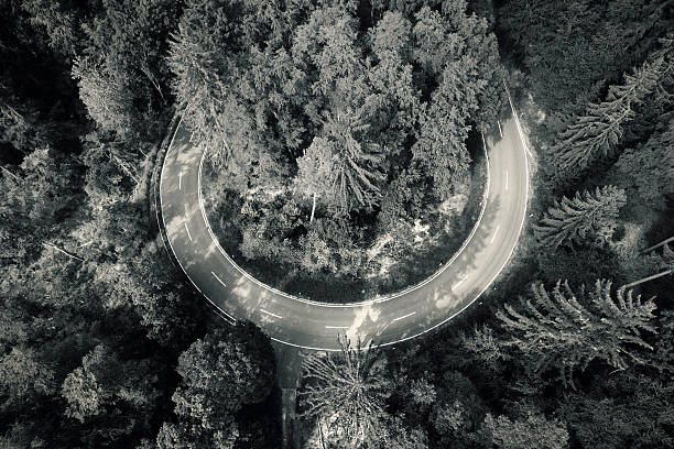 istock Road curve in the forest. Aerial view. Toned image 583705826