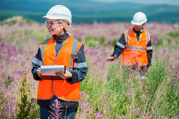 Researching recultivated field