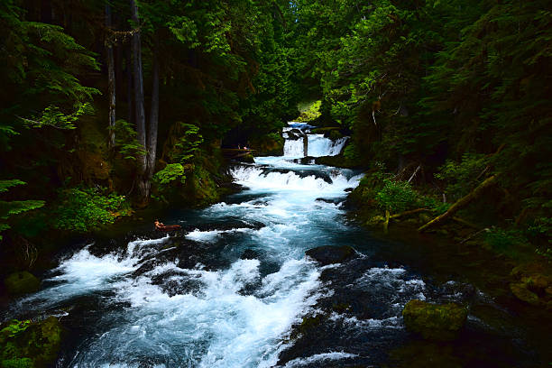 Sahalie Falls The crystal clear water of the Oregon Mountains Flows quickly down the Sahalie Falls.    eugene oregon stock pictures, royalty-free photos & images