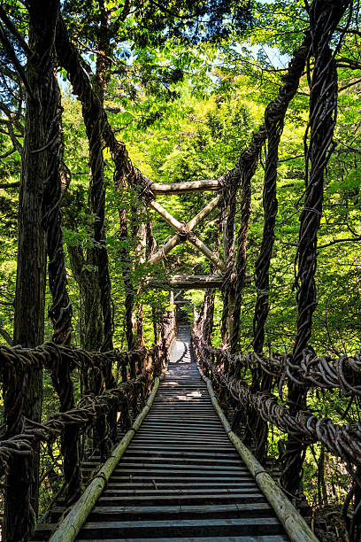 Scenic spot in Tochigi Prefecture, Japan