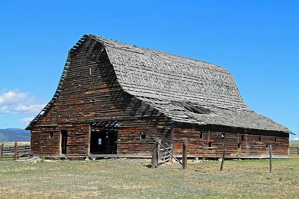 Old Decaying Shed in Field of Weeds
