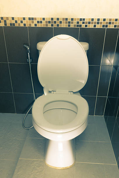 istock Toilet Seats or Bidets. 583711834