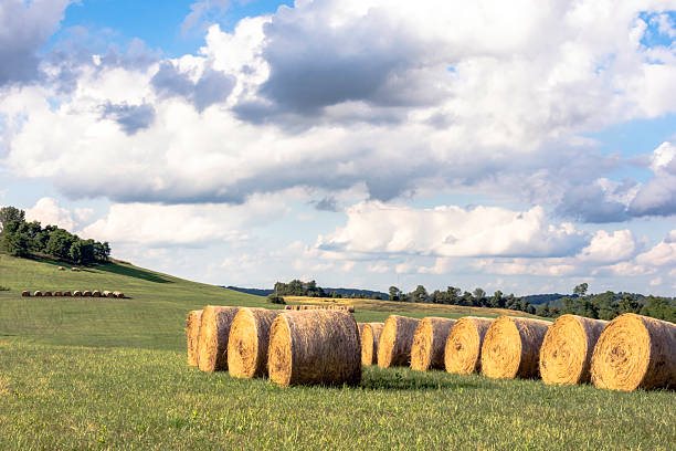 istock Ohio country landscape 583712932