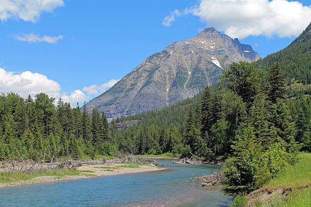 istock River Flowing Flowing Through Evergreen Forest with Mountains in the Background 583713190