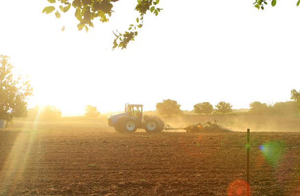 Farmer plowing in a field with the morning sun making camera lens flare.