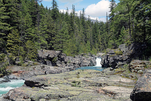 istock Rocky Riverbank in an Evergreen Forest 583713742