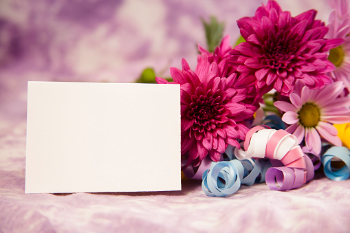Mother's Day flowers gift.   A bouquet of pink, purple Daisy, Mum flowers lies behind and to the side of a blank white notecard for your copy.   The flowers have pastel colored curly ribbons tied to them.  No people.  Feminine scene.  Lavendar background.