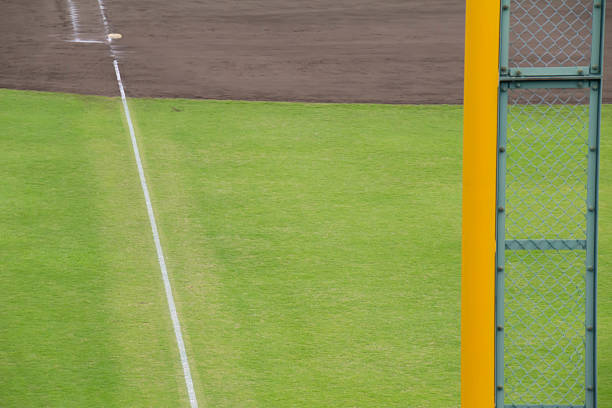 istock Outfield grass of a baseball field 583717964