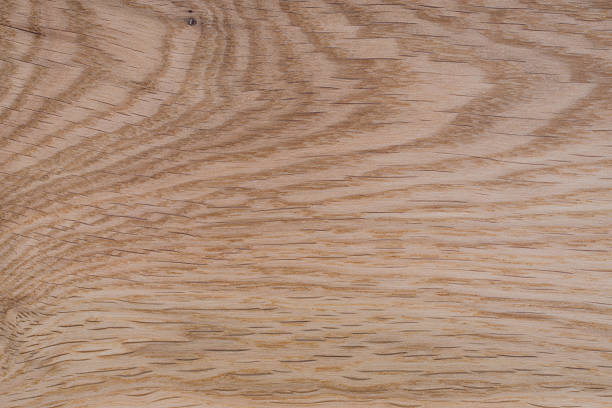 istock Texture of wood background closeup 583719604
