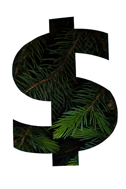 istock paper cut dollar over green fir 583723728