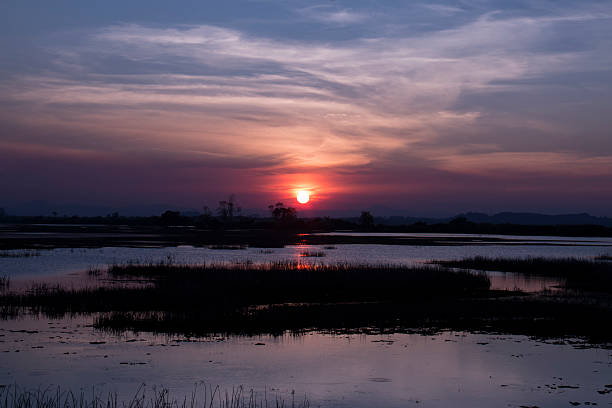 istock Beautiful sunset on the lake. 583724630