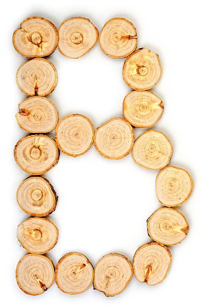 istock Alphabet letters made from Wood slice on white Background.B. 583726210