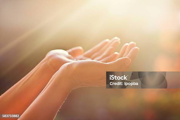 Respect And Praying On Nature Background Stock Photo - Download Image Now - Praying, Kneeling, One Woman Only