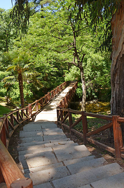 istock wooden bridge to the wood 583734568