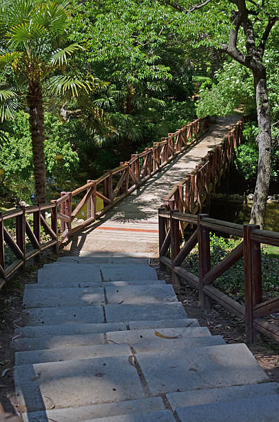 istock steps to the wooden bridge 583734820