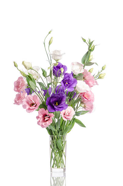 istock bunch of violet, white and pink eustoma flowers 583795146