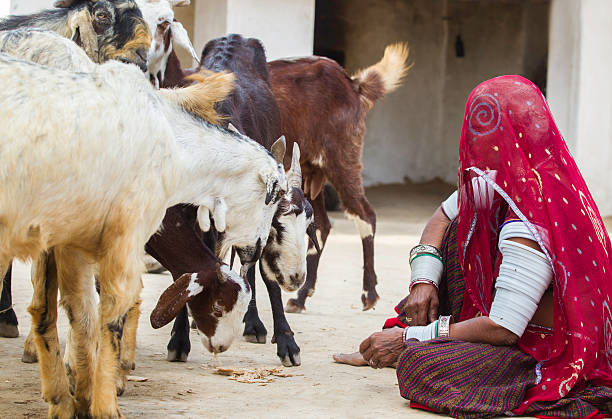 istock Real Character from Indian village, Rajasthan 583795962