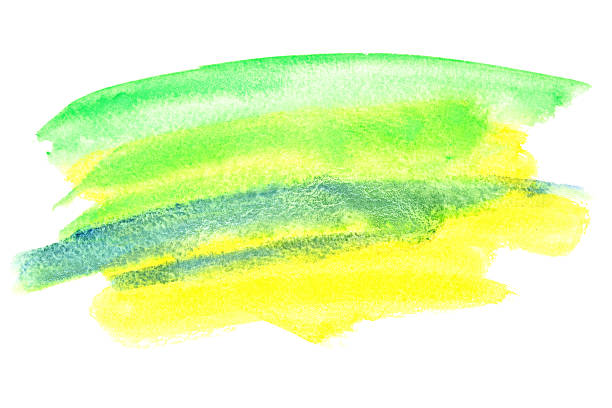 Watercolor brush strokes. Colours resemble flag of Brazil