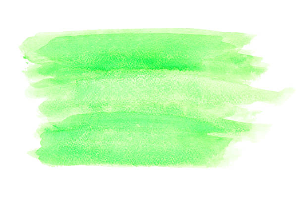istock Green watercolor background 583798840