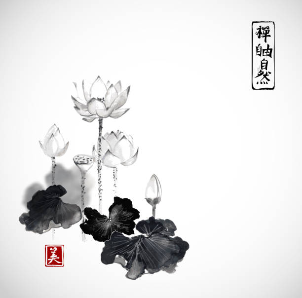 Lotus flowers hand drawn with ink Lotus flowers hand drawn with ink isolated on white background. Contains hieroglyphs - zen, freedom, nature, beauty Traditional Japanese ink painting sumi-e lotus water lily illustrations stock illustrations
